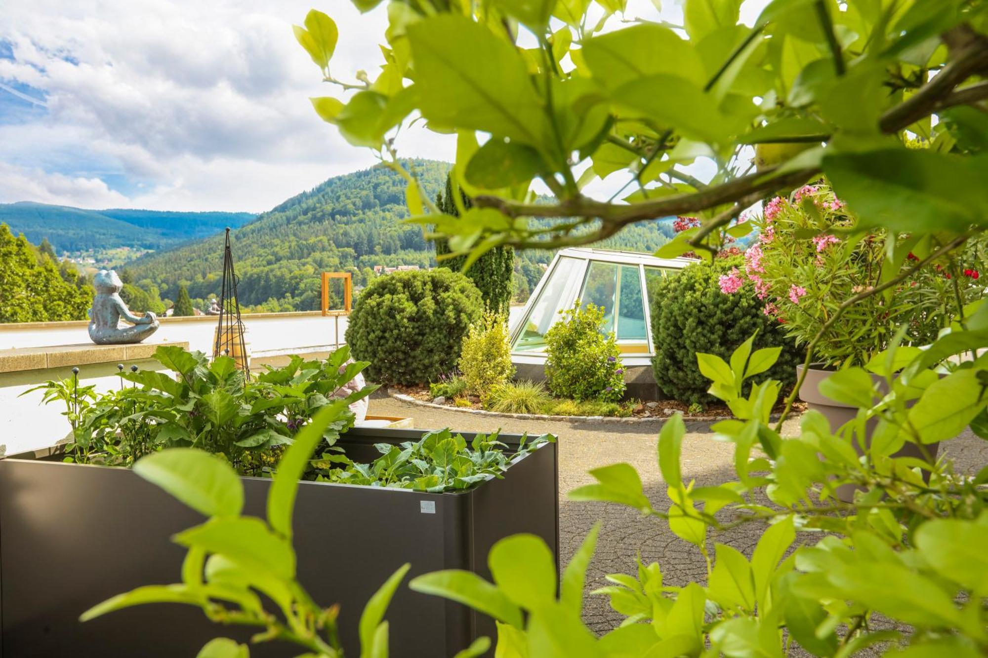 Schwarzwald Panorama Bad Herrenalb Exterior foto