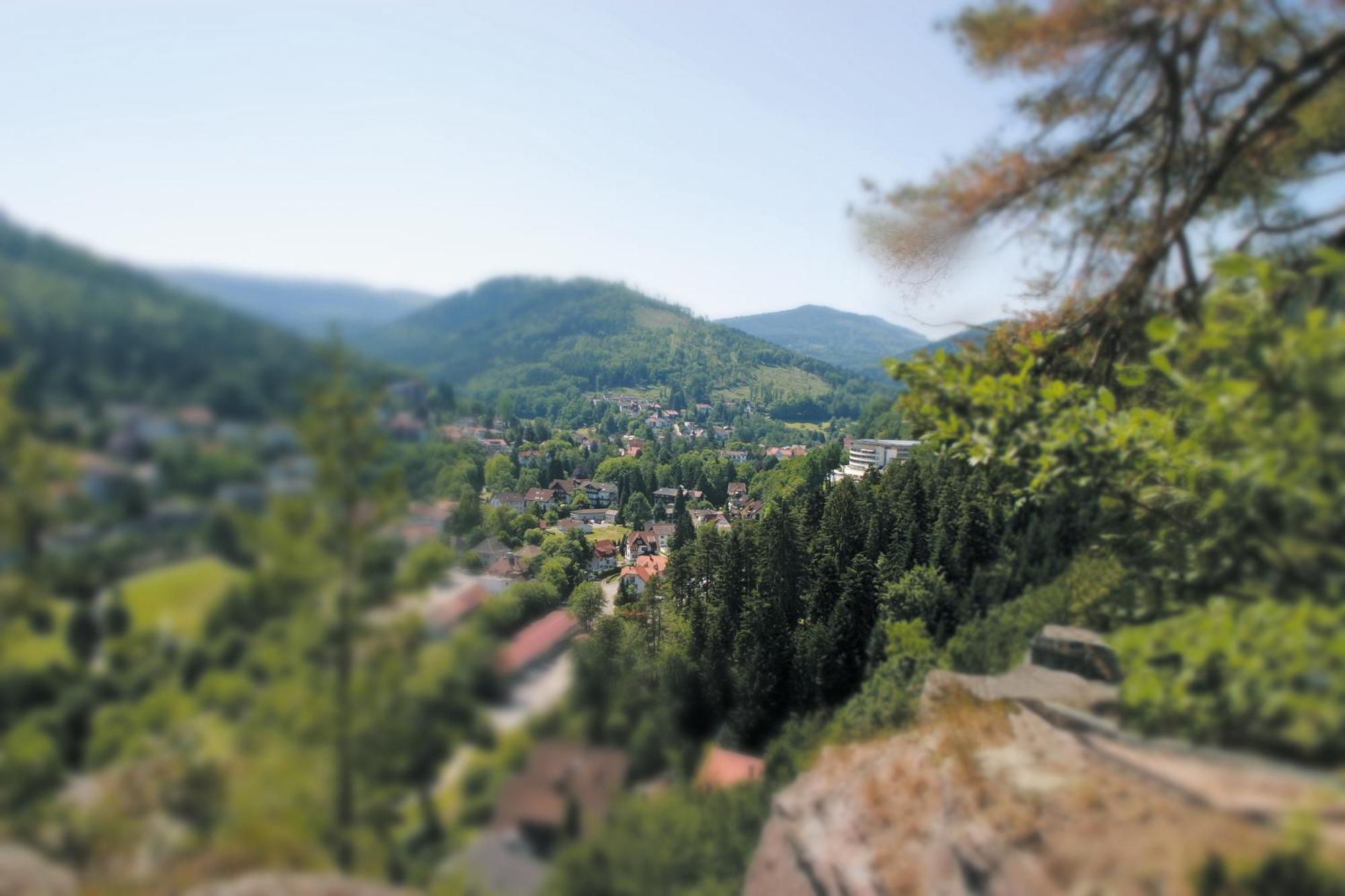 Schwarzwald Panorama Bad Herrenalb Exterior foto